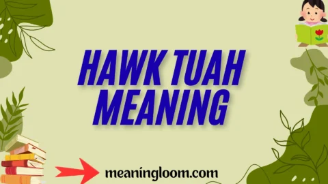 hawk tuah meaning
