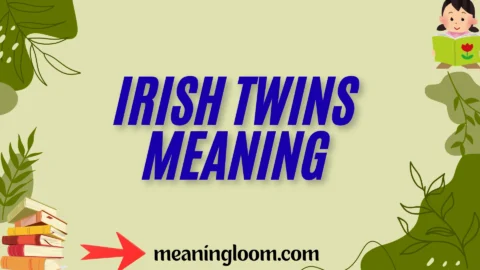irish twins meaning