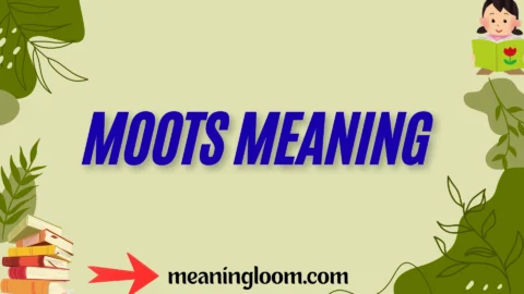 moots meaning