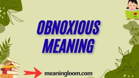 obnoxious meaning