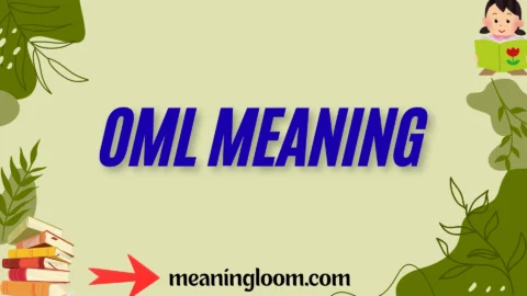 oml meaning