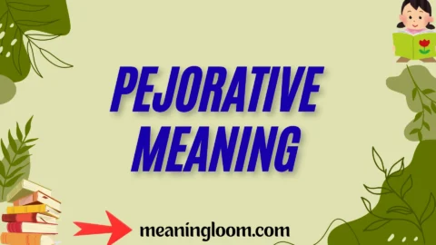 pejorative meaning