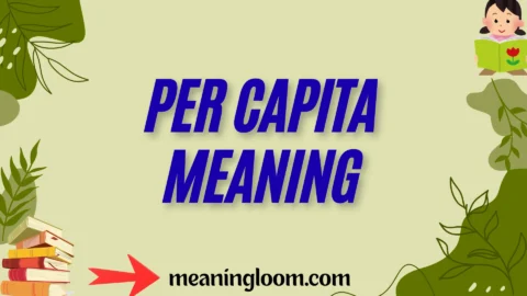 per capita meaning