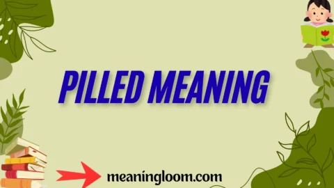 pilled meaning