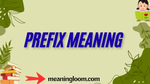 prefix meaning