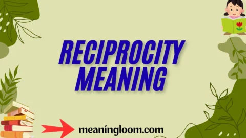 reciprocity meaning