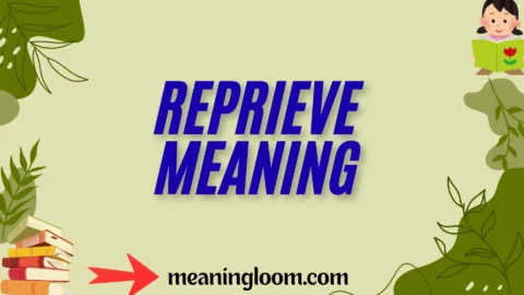 reprieve meaning