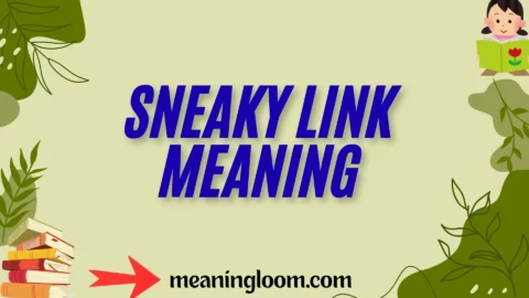 sneaky link meaning