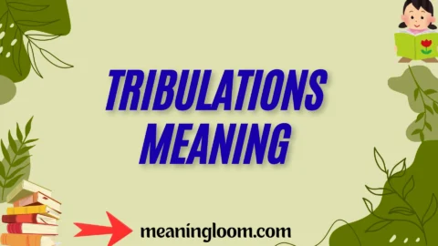 tribulations meaning