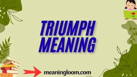 triumph meaning