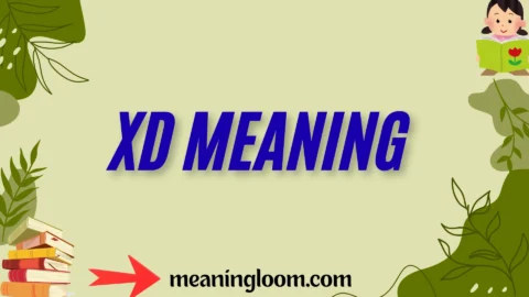 xd meaning