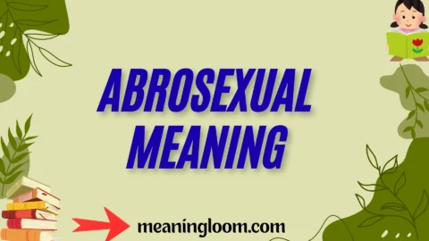 abrosexual meaning