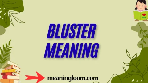 bluster meaning