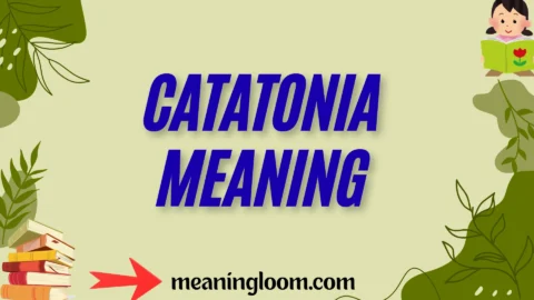 catatonia meaning