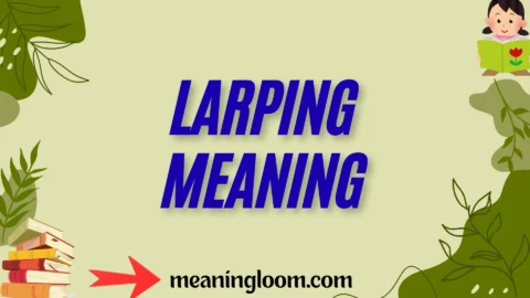 larping meaning