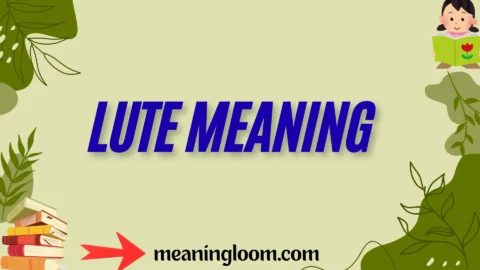 lute meaning