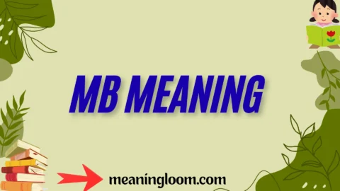 mb meaning