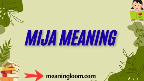 mija meaning