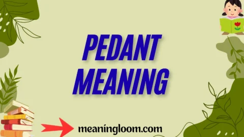 pedant meaning