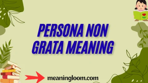 persona non grata meaning