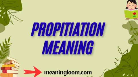 propitiation meaning