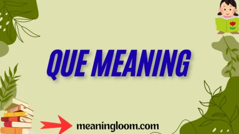 que meaning