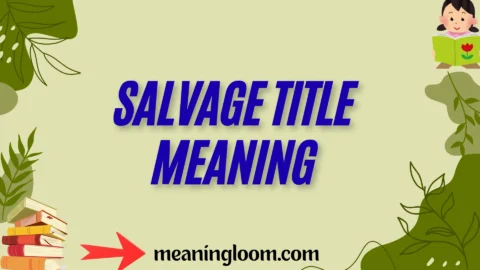 salvage title meaning