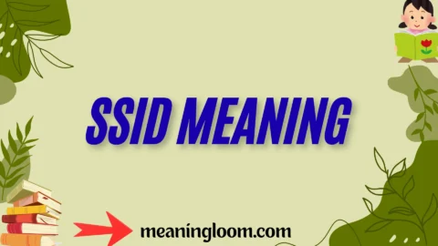 ssid meaning