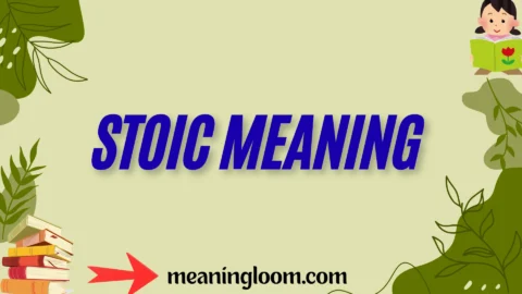 stoic meaning