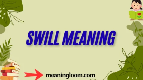 swill meaning