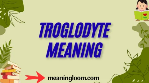 troglodyte meaning