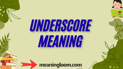 underscore meaning