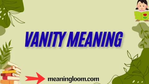 vanity meaning