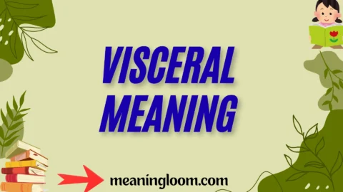 visceral meaning