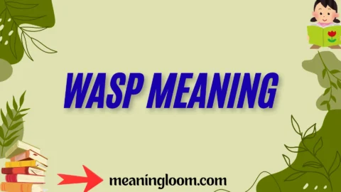 wasp meaning