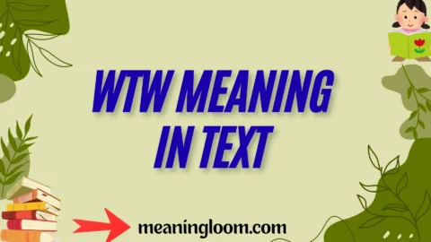 wtw meaning in text