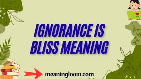ignorance is bliss meaning