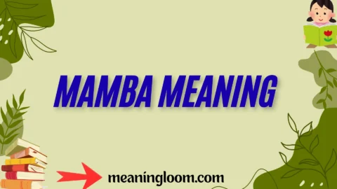 mamba meaning