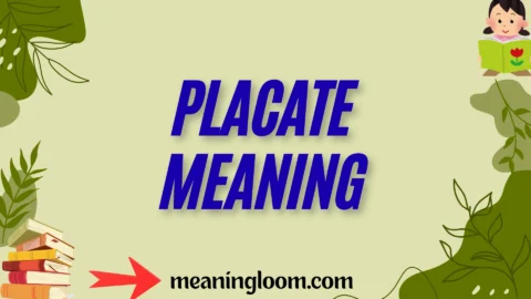 placate meaning